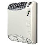 Direct Vent Gas Wall Heater