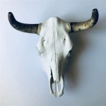 Real Cow Skull Wall Hanging