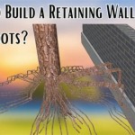 Retaining Wall Over Tree Roots