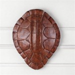 Turtle Shell Wall Decor